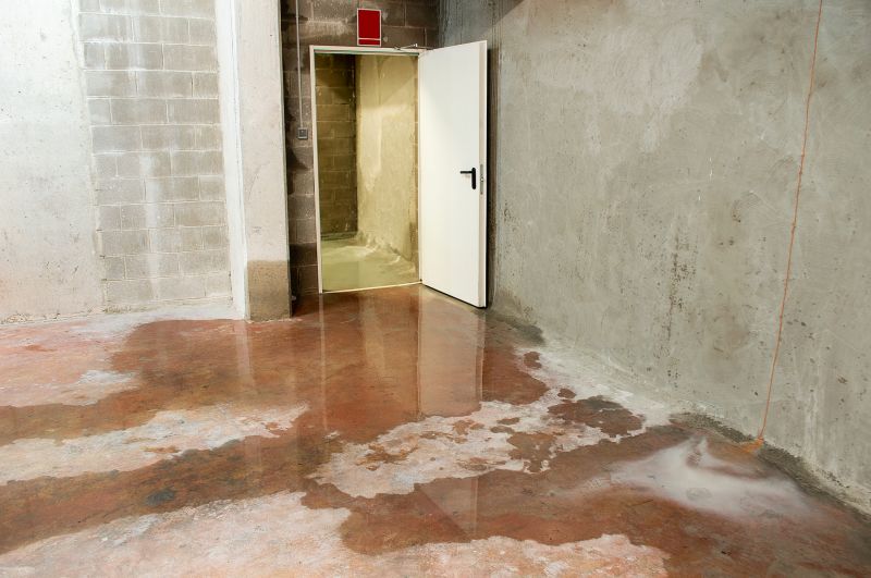 Basement Floor Tinting