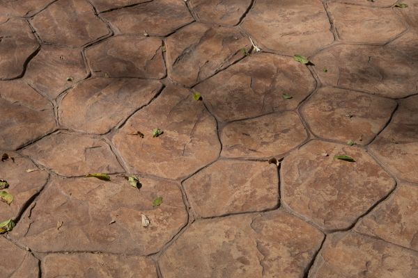 Cost of Concrete Texturing in Draper